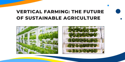 Vertical Farming: The Future of Sustainable Agriculture