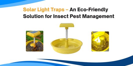 Solar Light Traps – An Eco-Friendly Solution for Insect Pest Management