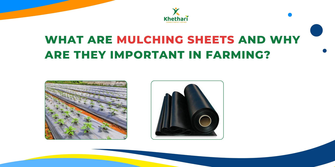 What Are Mulching Sheets and Why Are They Important in Farming?