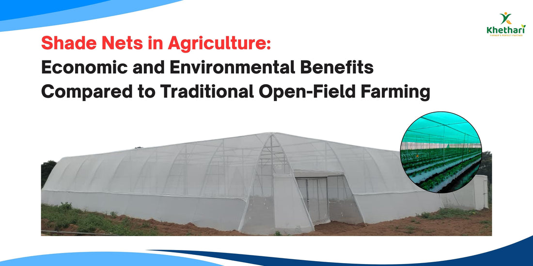 Shade Nets in Agriculture: Economic and Environmental Benefits Compared to Traditional Open-Field Farming