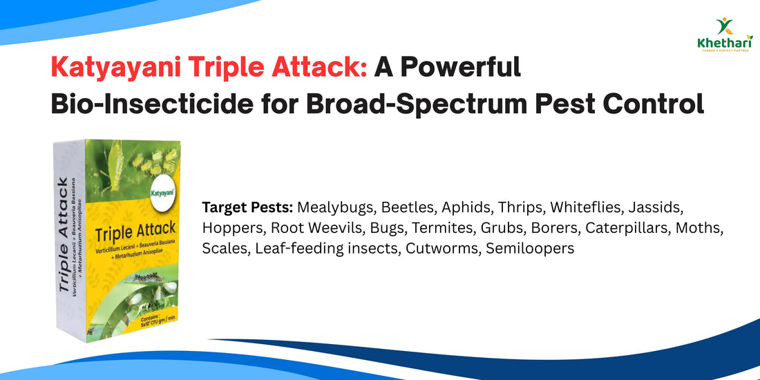 Katyayani Triple Attack: A Powerful Bio-Insecticide for Broad-Spectrum Pest Control