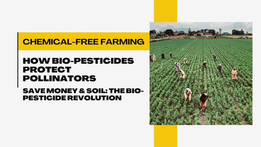 Chemical vs. Bio-Organic Pesticides: Why Sustainable Agriculture Needs the Shift