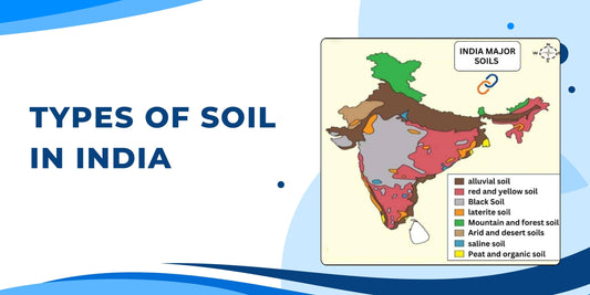 Types of Soil in India and Their Importance in Agriculture