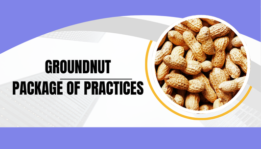 GROUNDNUT PACKAGE OF PRACTICES