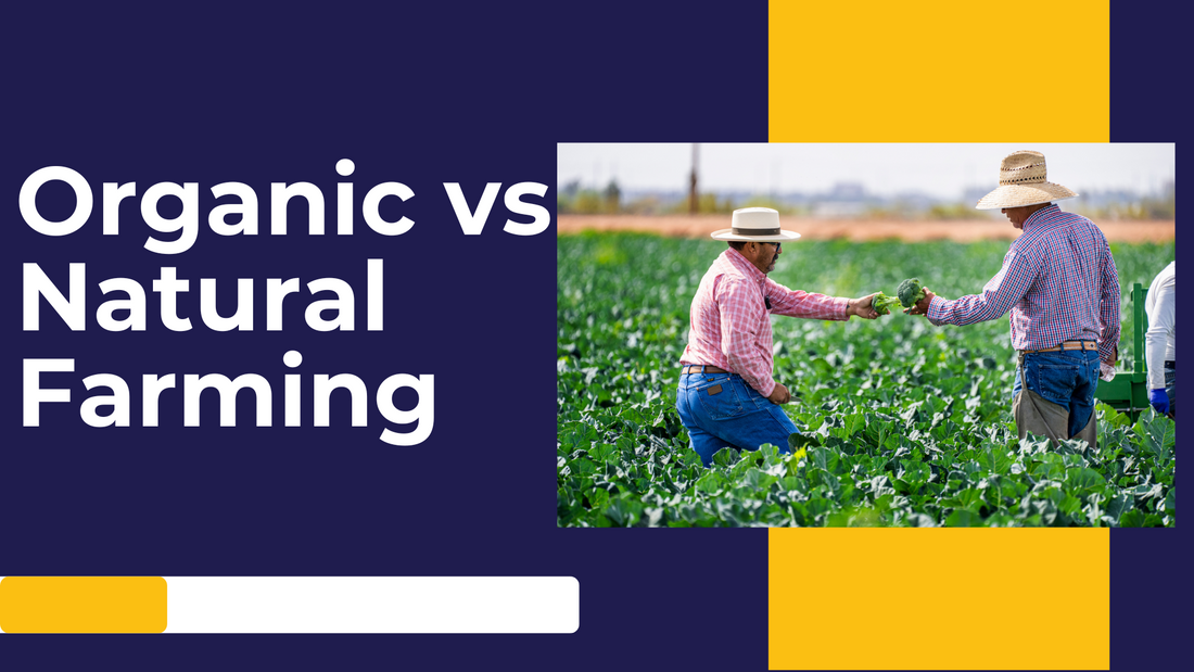 Organic vs Natural farming