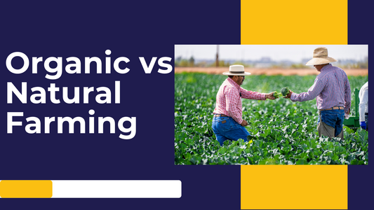 Organic vs Natural farming