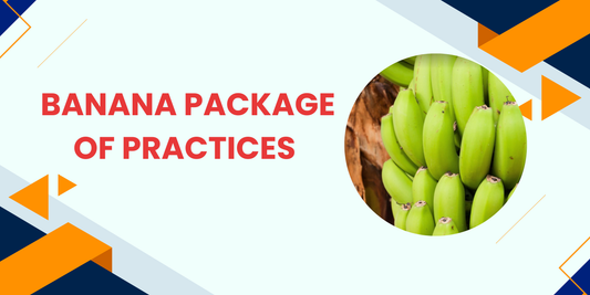BANANA PACKAGE OF PRACTICES