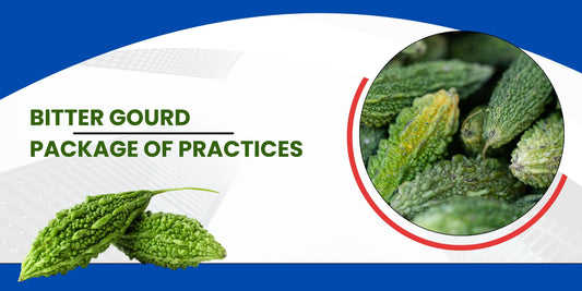 Bitter Gourd Package of practices