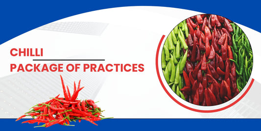 CHILLI PACKAGE OF PRACTICES