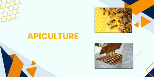 THE ULTIMATE GUIDE TO APICULTURE,ITS IMPORTANCE,HONEYBEE SPECIES AND THEIR CASTE SYSTEMS
