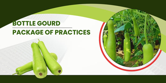 BOTTLE GOURD PACKAGE OF PRACTICES