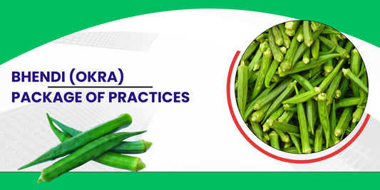 BHENDI PACKAGE OF PRACTICES