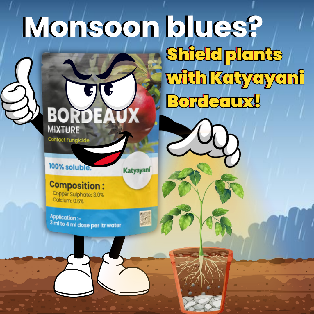 KATYAYANI BORDEAUX MIXTURE | COPPER SULPHATE 3.0% + CALCIUM HYDROXIDE 0.6% | CHEMICAL FUNGICIDE