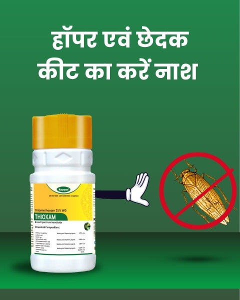 Katyayani Thioxam | Thiamethoxam 25% WG | Chemical Insecticide