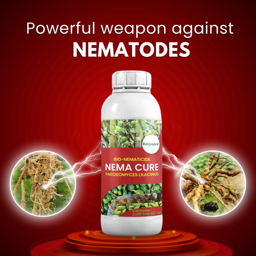 Katyayani Nema Cure | Paecilomyces Lilacinus | liquid Bio Nematicide — Insecticide
