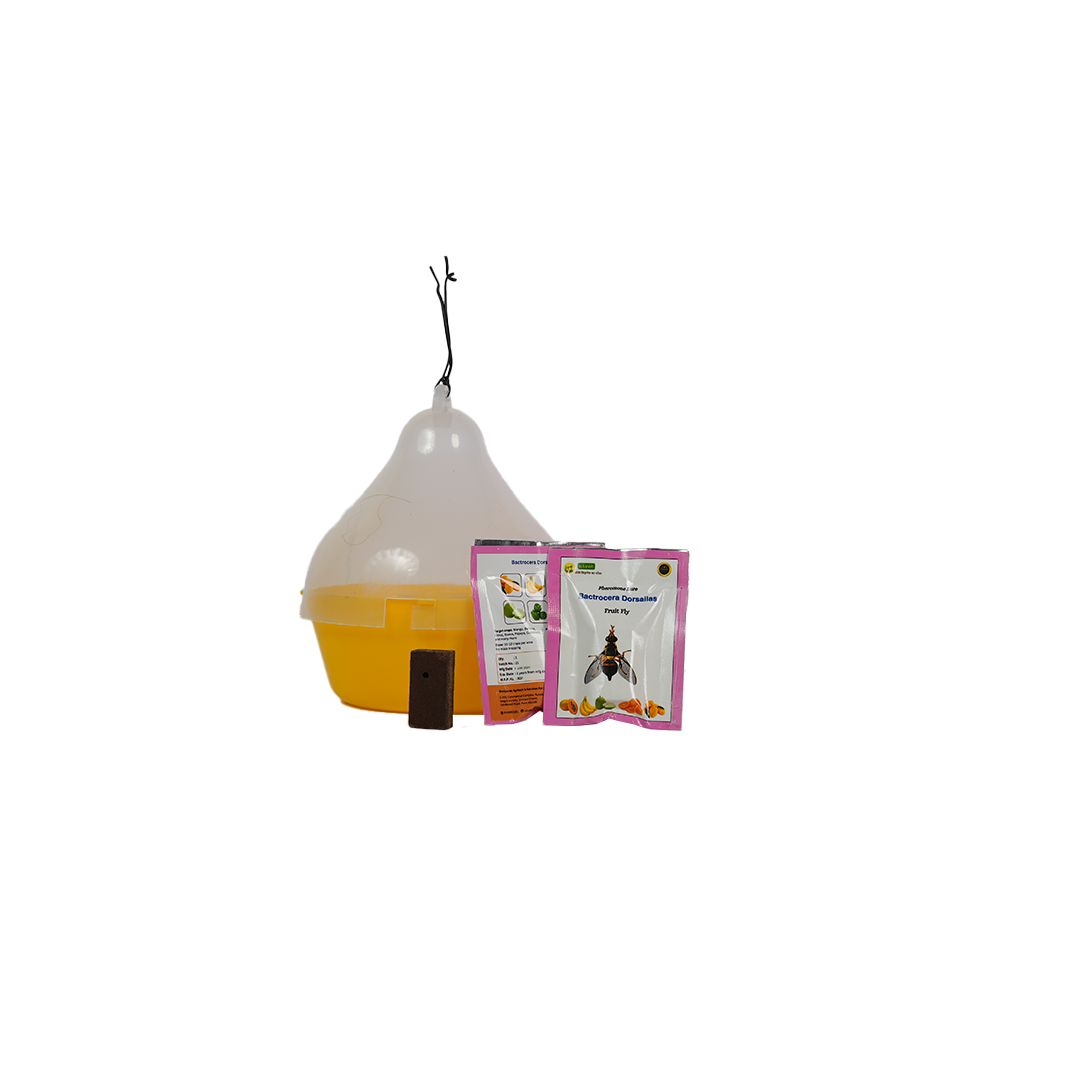 Macphil Trap With Dorsalis Lure