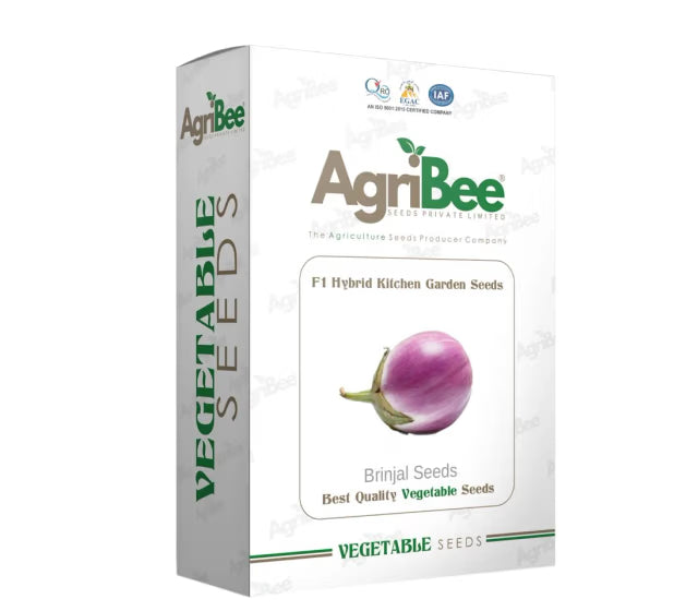 AgriBee F1 Hybrid Brinjal Seeds – High Yield Eggplant Seeds for Home & Terrace Gardening