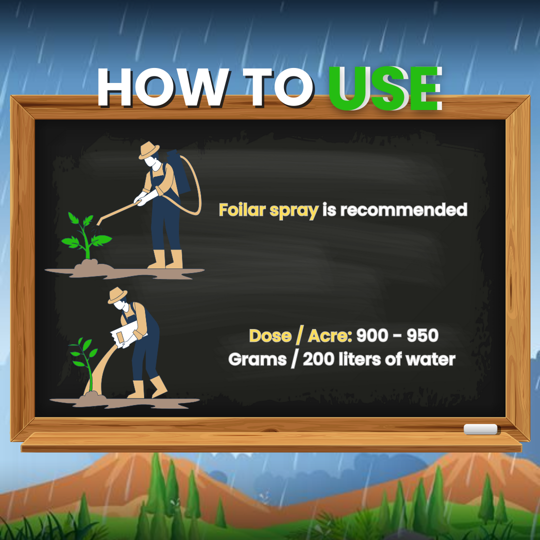 KATYAYANI BORDEAUX MIXTURE | COPPER SULPHATE 3.0% + CALCIUM HYDROXIDE 0.6% | CHEMICAL FUNGICIDE