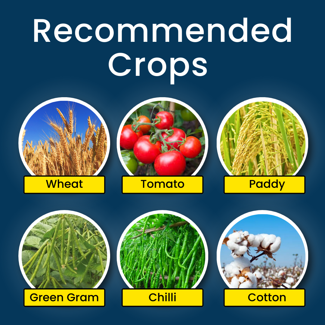 Katyayani Striker Pseudomonas Fluorescens Bio Fungicide Powder