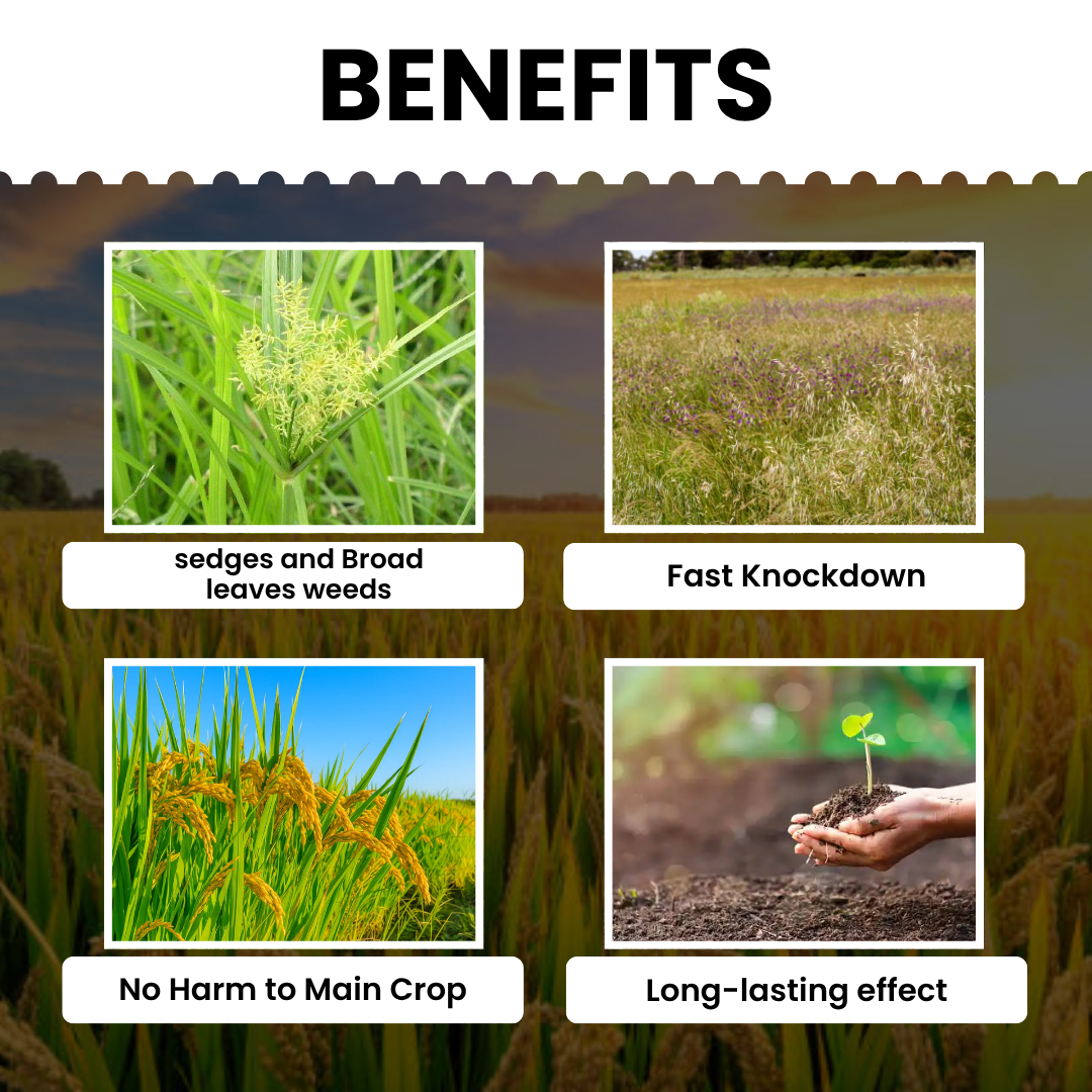 Katyayani Garuda | Bispyribac Sodium 10 % SC | Broad Spectrum Systemic Herbicide For Rice Crop