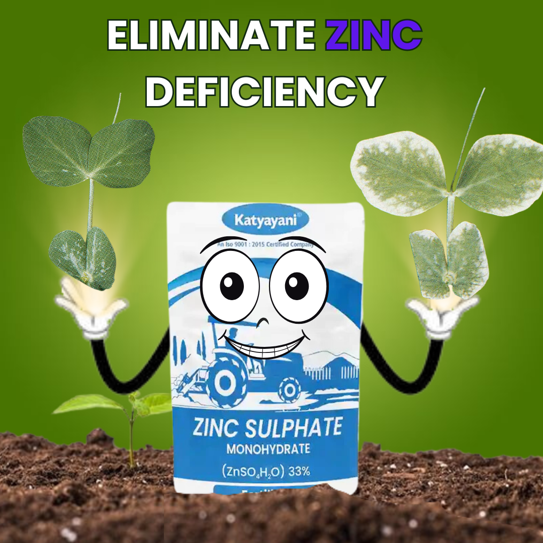 Zinc Sulphate 33% | Monohydrate Micro Nutrient | Katyayani