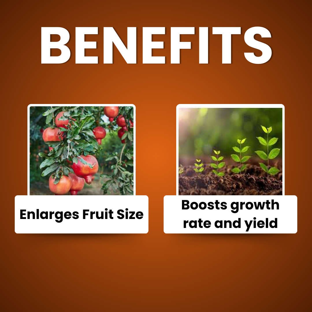 Katyayani Nutritious | Triacontanol 0.1% EW | Plant growth regulator