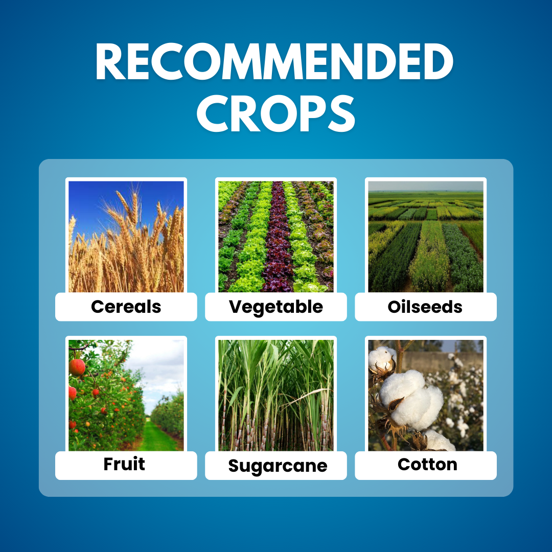 KATYAYANI PRO GROW (GIBBERELLIC ACID 0.001% L) | PLANT GROWTH REGULATOR