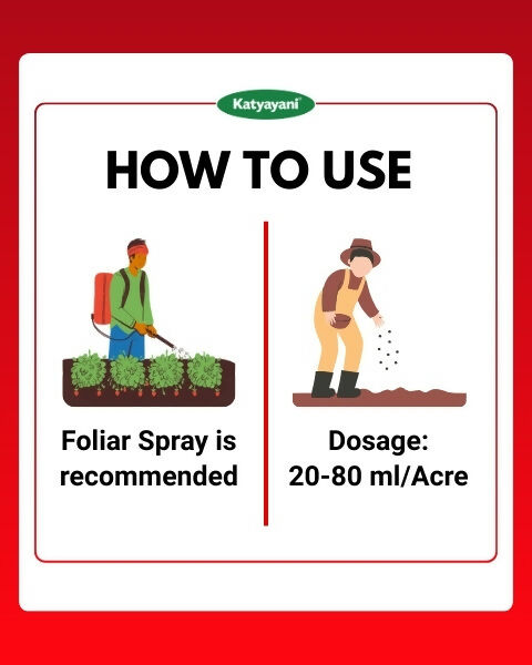 KATYAYANI FLUBEN | FLUBENDIAMIDE 39.35% SC | CHEMICAL INSECTICIDE