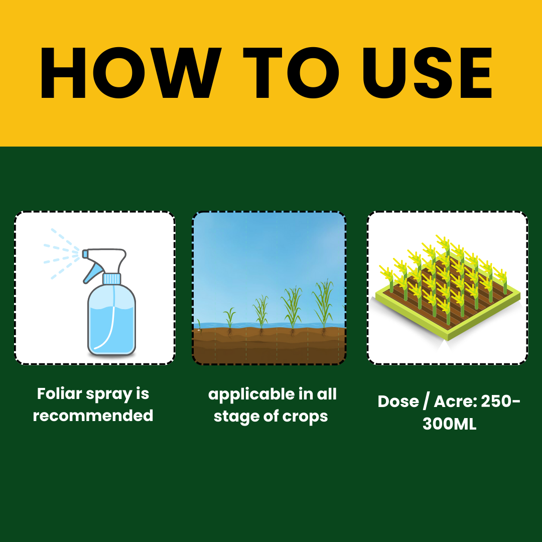 Katyayani Seaweed Extract | Liquid Organic fertilizer |