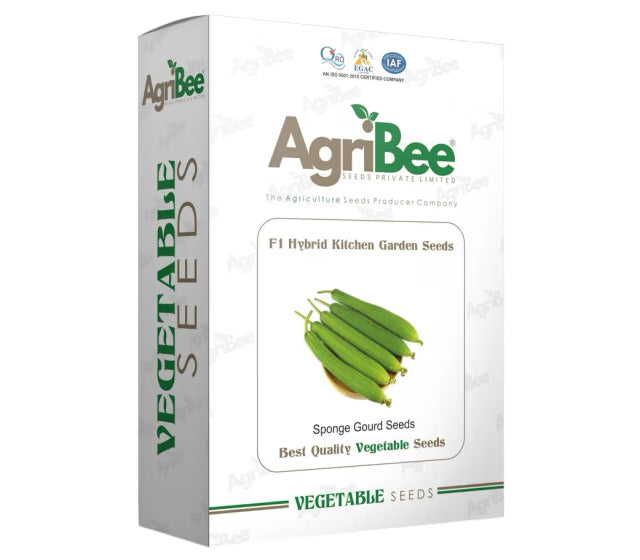 AgriBee F1 Hybrid SpongeGourd Seeds 5gm x 5 pack) = 1 Box