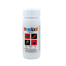 BORNEO INSECTICIDE