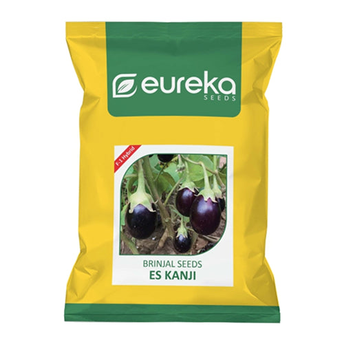 BRINJAL ES KANJI F1 HYBRID