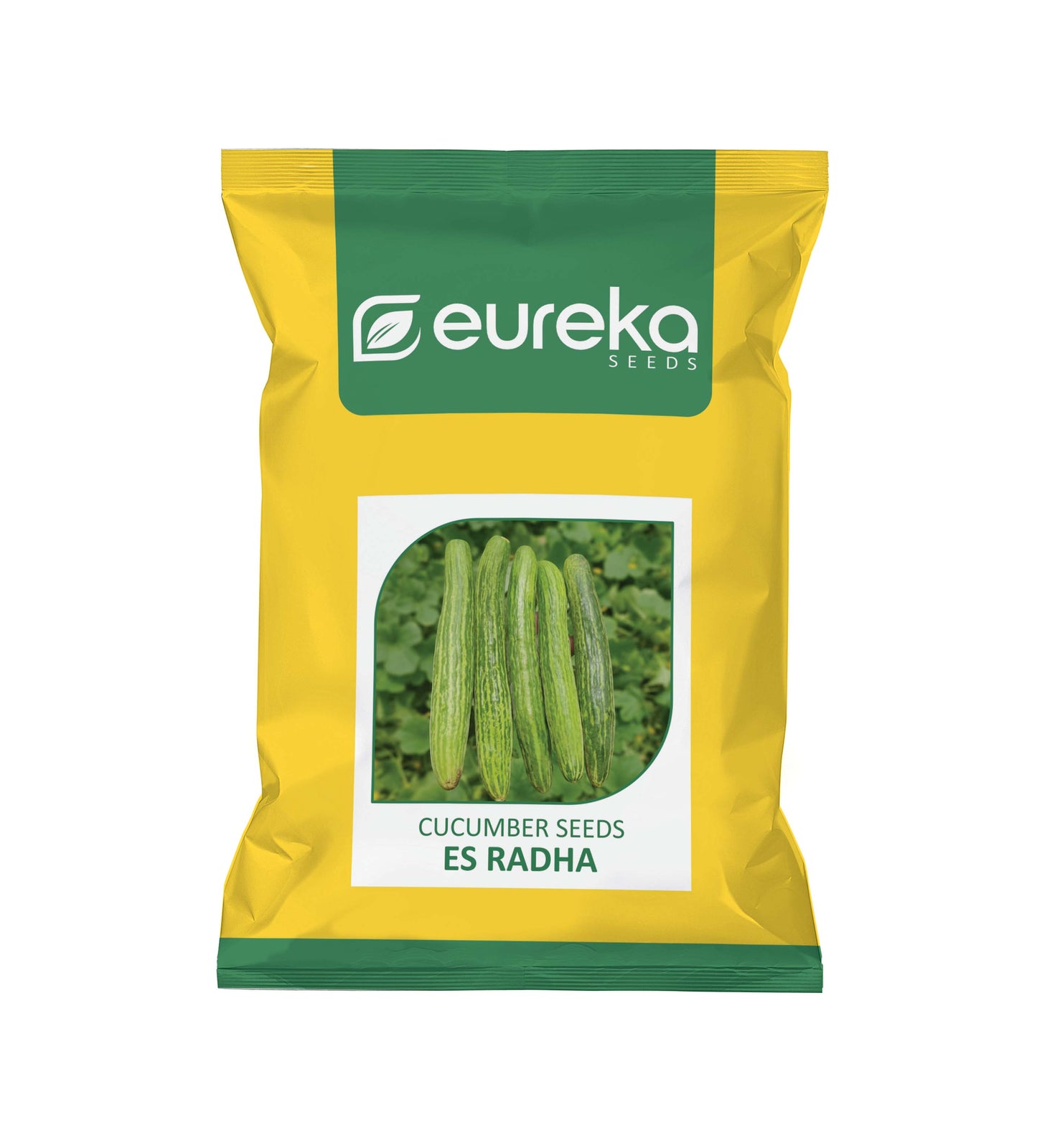 CUCUMBER ES RADHA IMPROVED