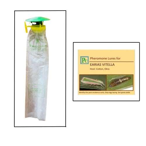 Pheromone Traps and Earias vitella Lures (pack of 10 Traps and 10 Lures).
