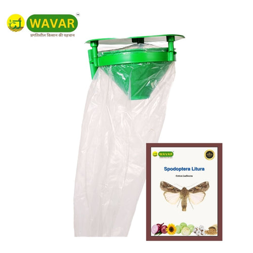 Funnel Trap with Spodoptera Litura — Traps and Lures