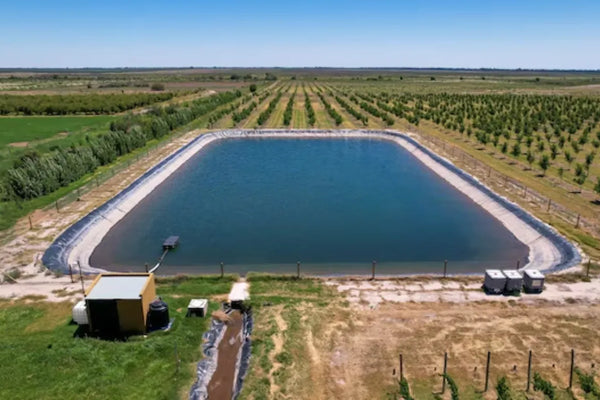 Farm Pond