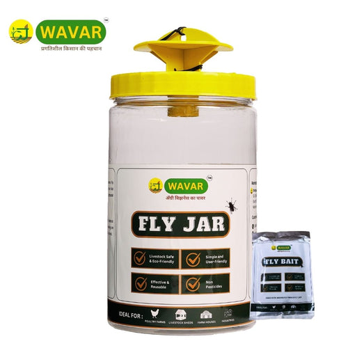House fly trap with lure — Farm Equipments
