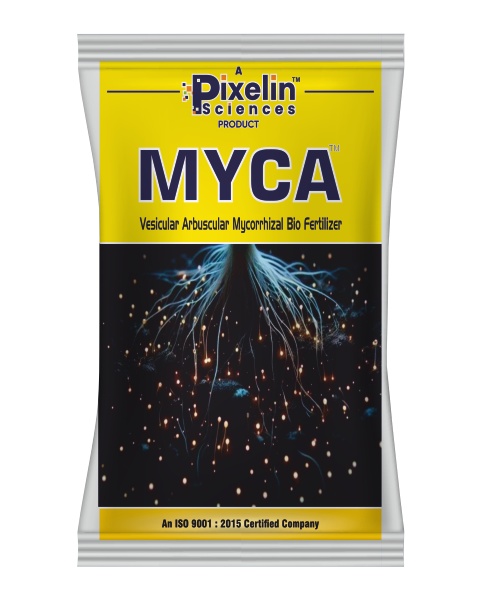 MYCA Mycorrhiza – Microbial Biofertilizer for Strong Roots and Healthy Crops