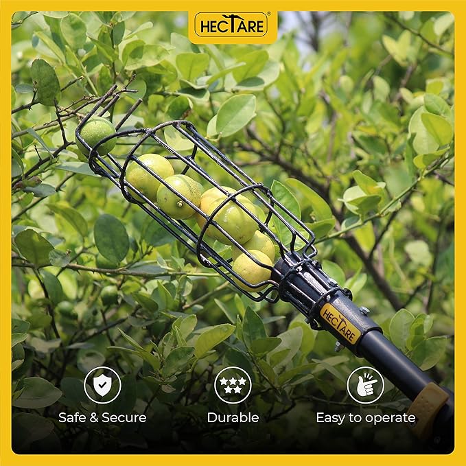 Hectare Multi-Purpose Small Fruit Picker & Plucker Basket | Ideal for Lemon, Chiku, Sapota and Amla Harvesting | Lightweight Manual Gardening Tool | Durable Fruit Catcher for Easy Picking