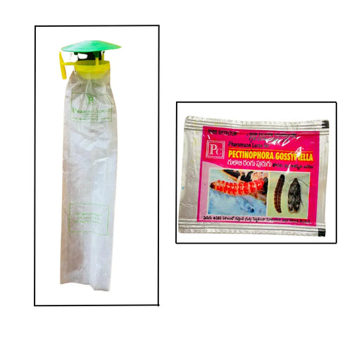 Pheromone Traps and Pectinophora gossypiella lures (pack of 10 Traps and 10 Lures).