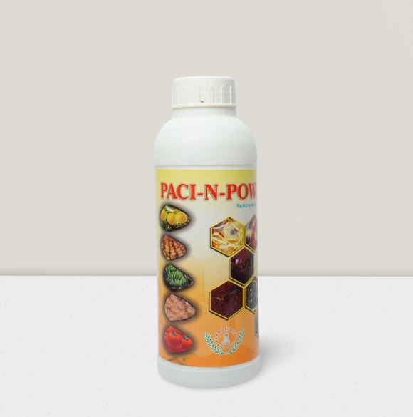Paci-N-Power: The Eco-Friendly Bio Nematicide for Healthy Crops