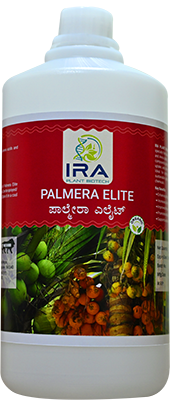 IRA PLANT PALMERA ELITE