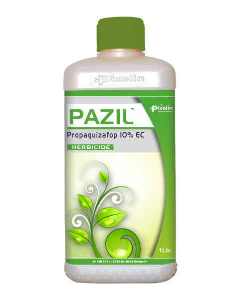 propaquizafop herbicide PAZIL (Propaquizafop 10% EC) – Selective Herbicide for Effective Grass –  Khethari