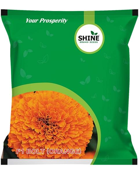 Shine Seeds Marigold F1 Bolt (Orange)