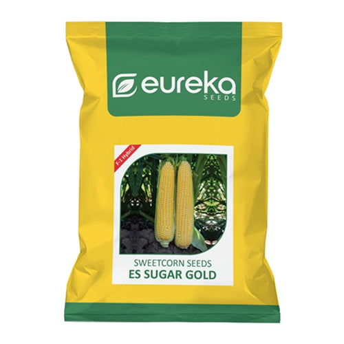 SWEET CORN ES SUGAR GOLD F1 HYBRID