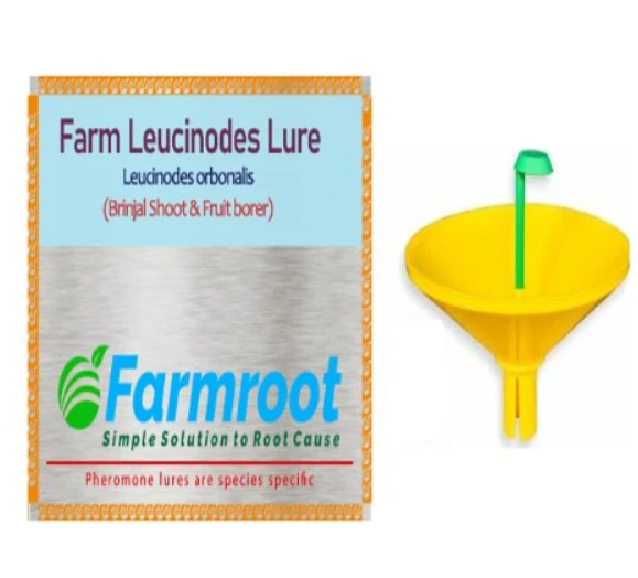 FARMROOT FARM LEUCINOIDES LURE (Brinjal) WITH WATER TRAP