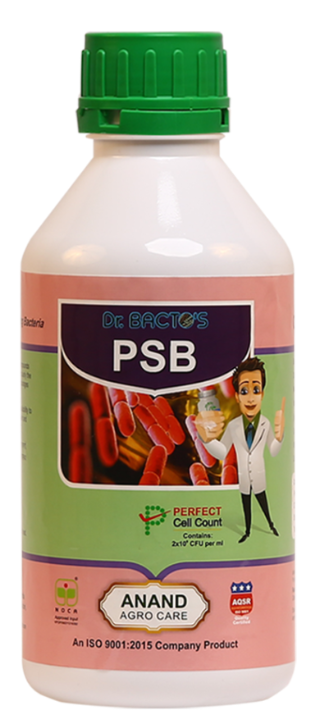 Dr.Bacto’s P.S.B; 500ml