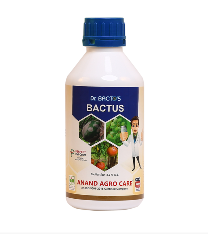Dr.Bacto’s Bactus; 500ml