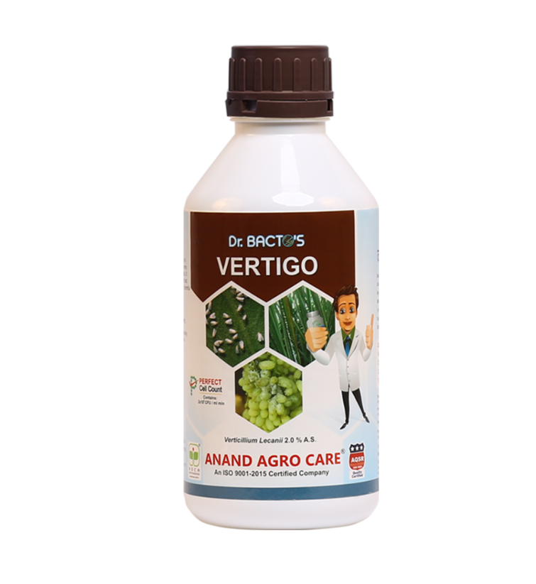 Dr.Bacto’s Vertigo; 500ml