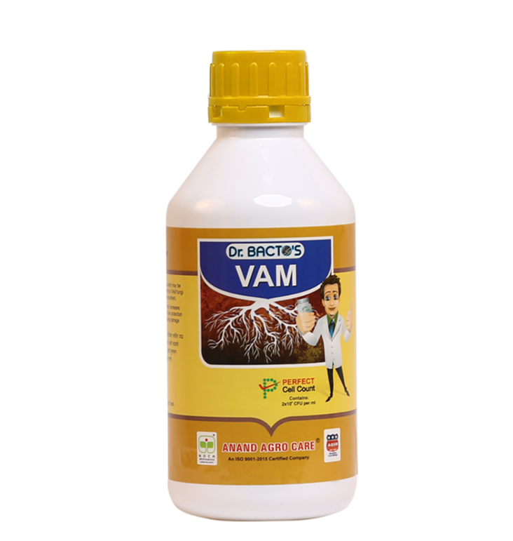 Dr.Bacto’s Vam